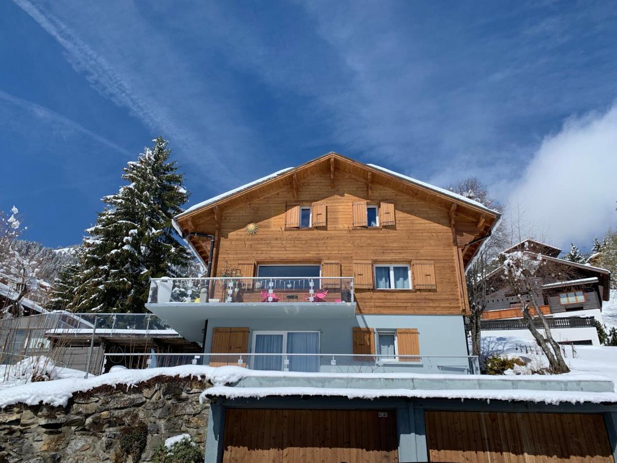 Chalet Plein Soleil Apartment Лезен Екстериор снимка